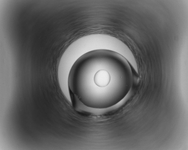 X0000099570372200805301545