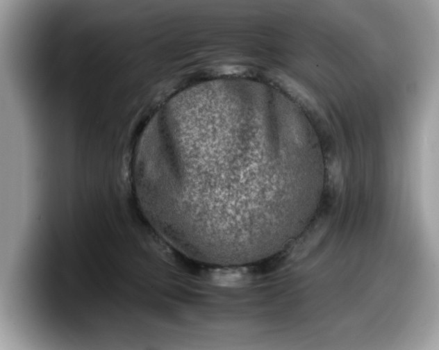 X0000099570373200805301545
