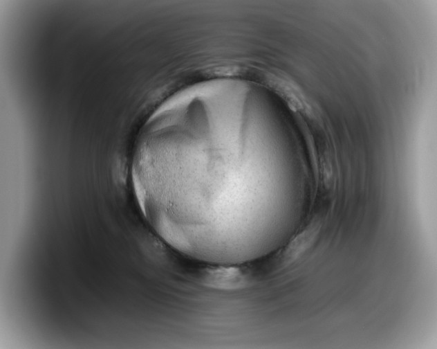X0000099570374200805301545