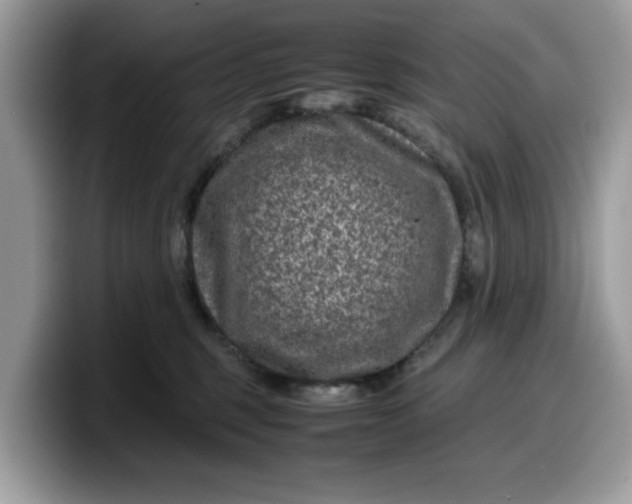 X0000099570375200805301545