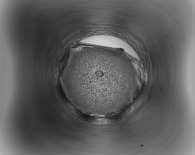 X0000099570376200805301545