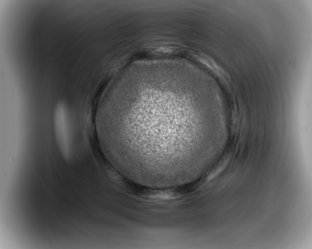 X0000099570377200805301545