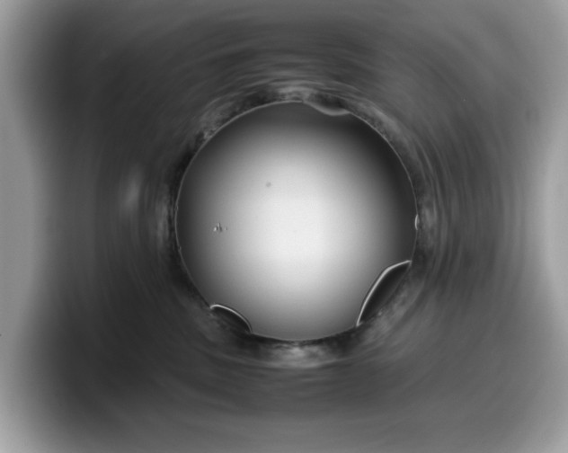 X0000099570379200805301545