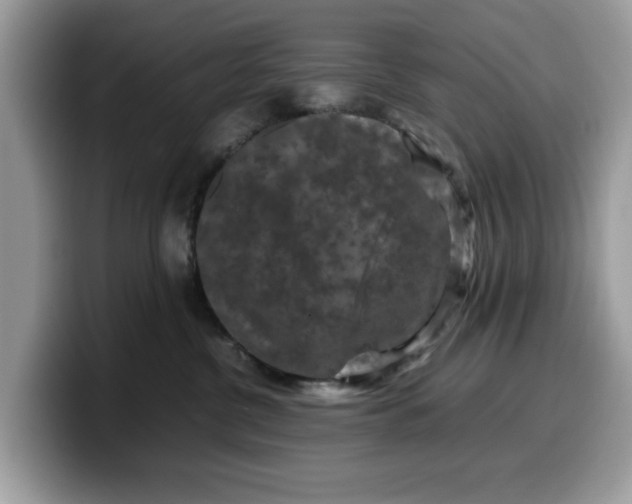 X0000099570380200805301545