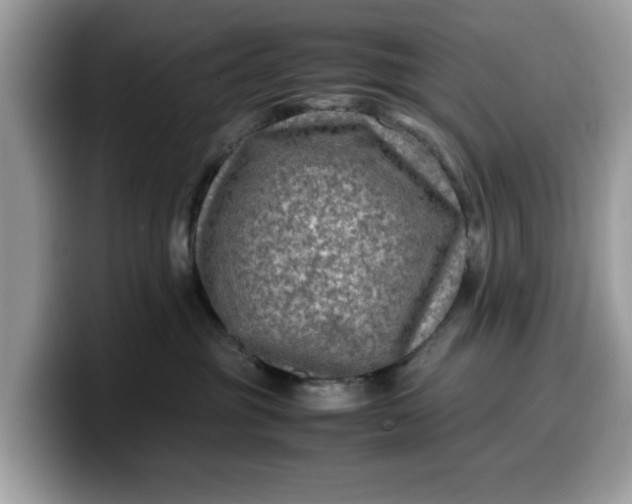 X0000099570381200805301545