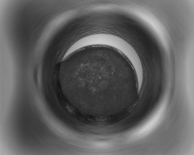 X0000099570382200805301545