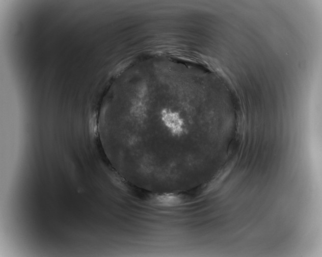 X0000099570383200805301545