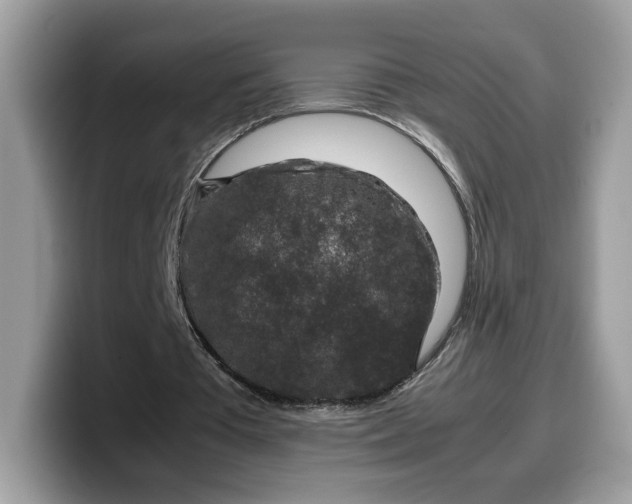 X0000099570385200805301545