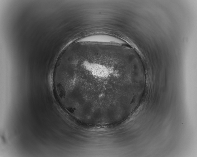 X0000099570386200805301545