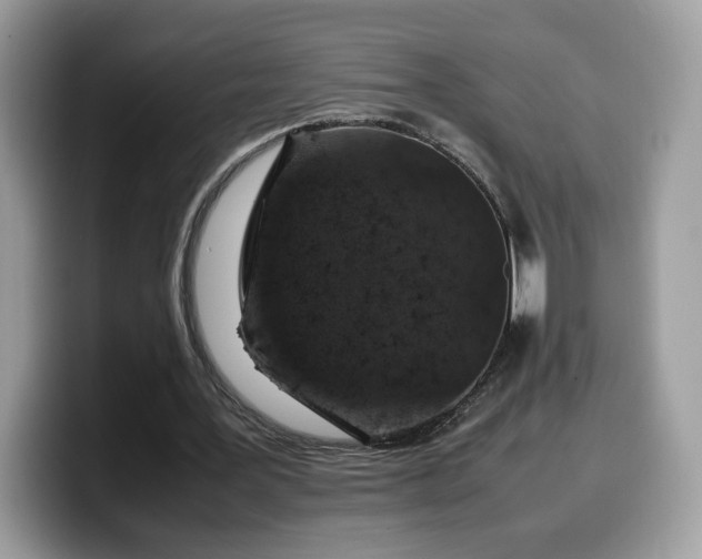 X0000099570387200805301545