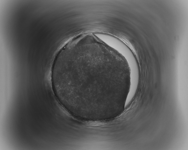 X0000099570389200805301545