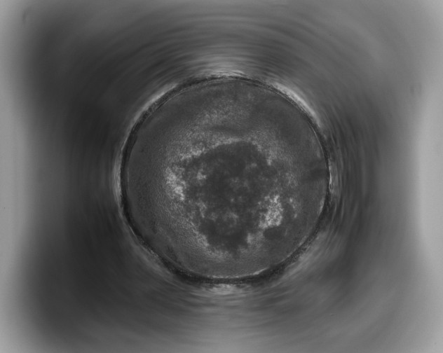 X0000099570390200805301545