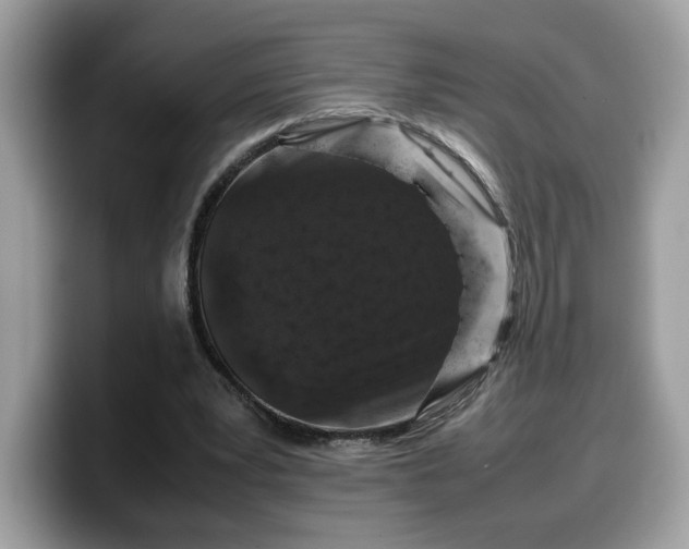 X0000099570391200805301545