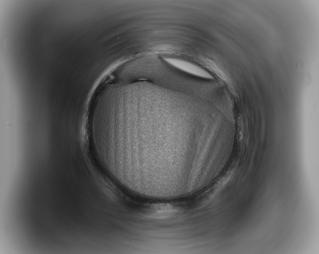 X0000099570392200805301545