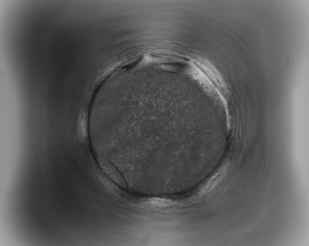 X0000099570393200805301544