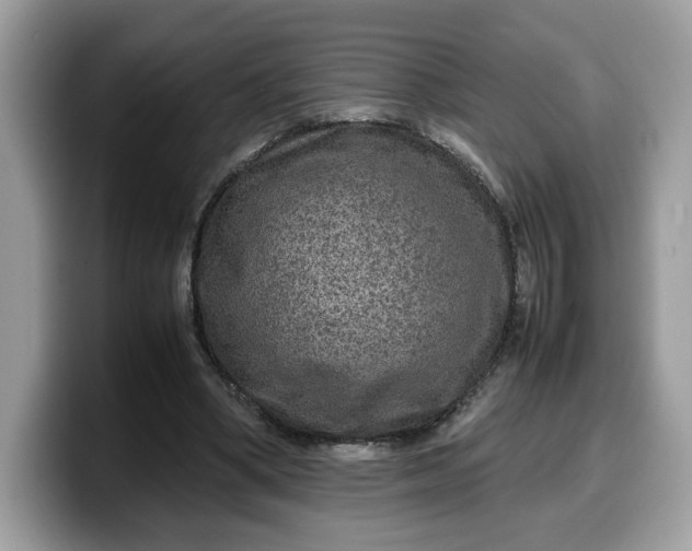 X0000099570394200805301544