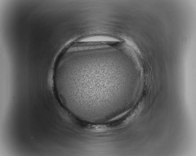 X0000099570395200805301544