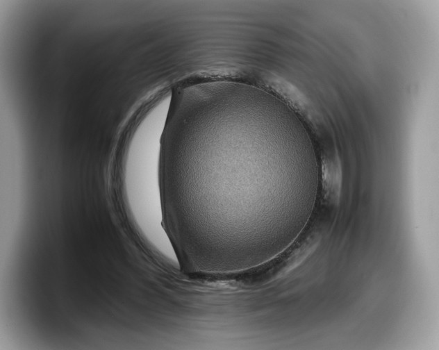 X0000099570396200805301544