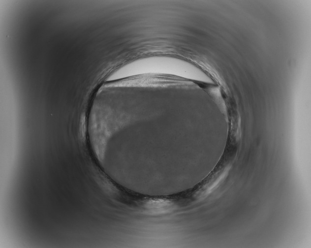 X0000099570397200805301544