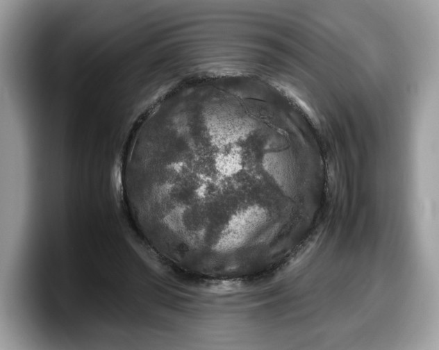 X0000099570398200805301544
