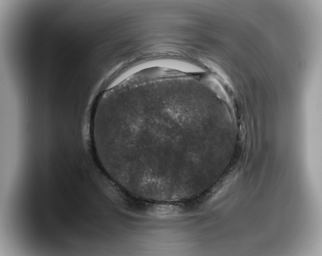 X0000099570399200805301544