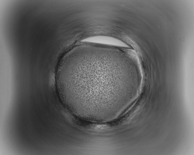 X0000099570401200805301544