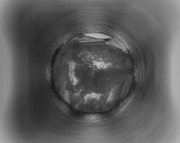X0000099570402200805301544