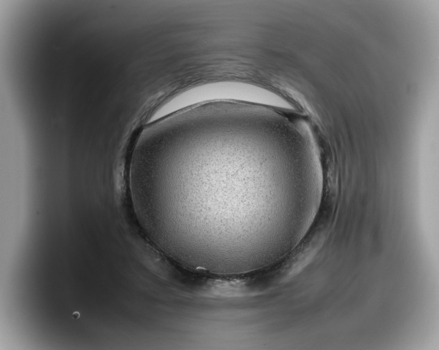 X0000099570403200805301544