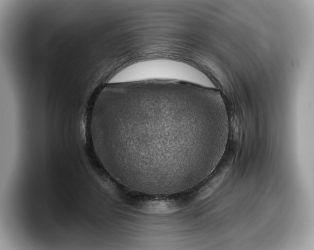 X0000099570404200805301544