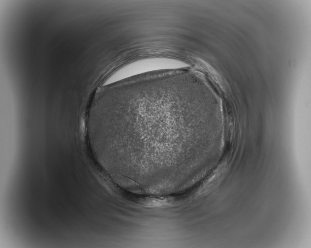 X0000099570405200805301544