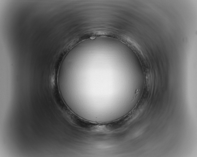 X0000099570406200805301544
