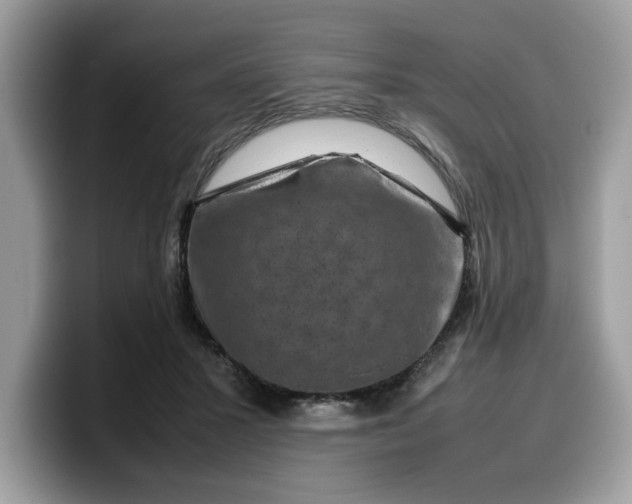 X0000099570407200805301544