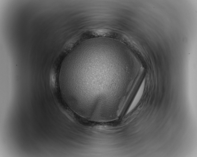 X0000099570408200805301544