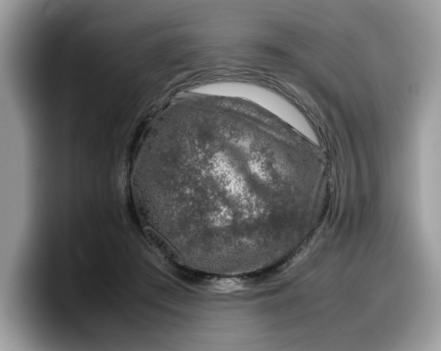X0000099570409200805301544
