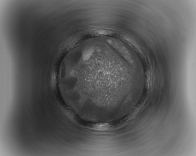 X0000099570410200805301544