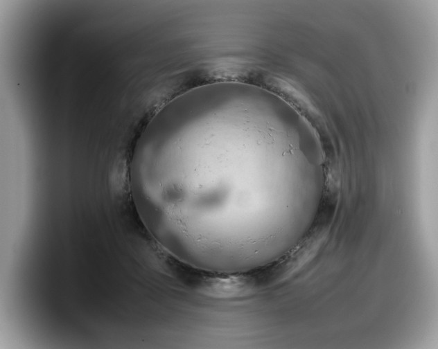 X0000099570411200805301544