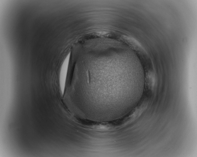 X0000099570412200805301544