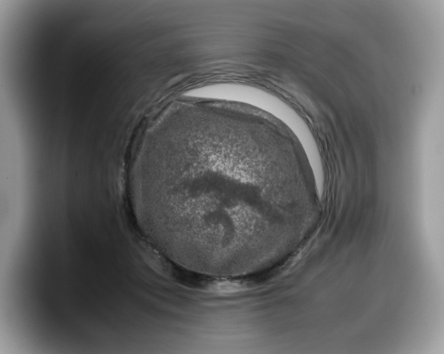 X0000099570413200805301544