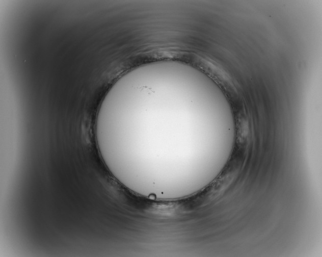 X0000099570414200805301544