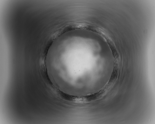 X0000099570415200805301544