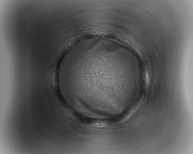 X0000099570416200805301544