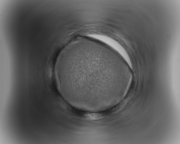 X0000099570417200805301544