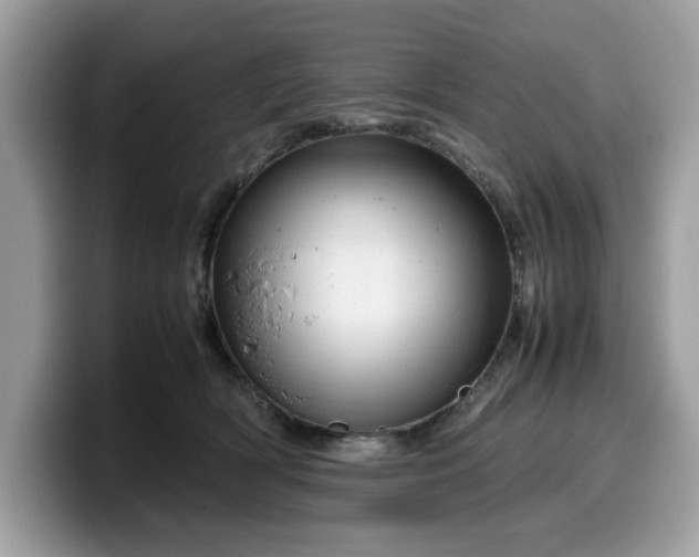 X0000099570418200805301544