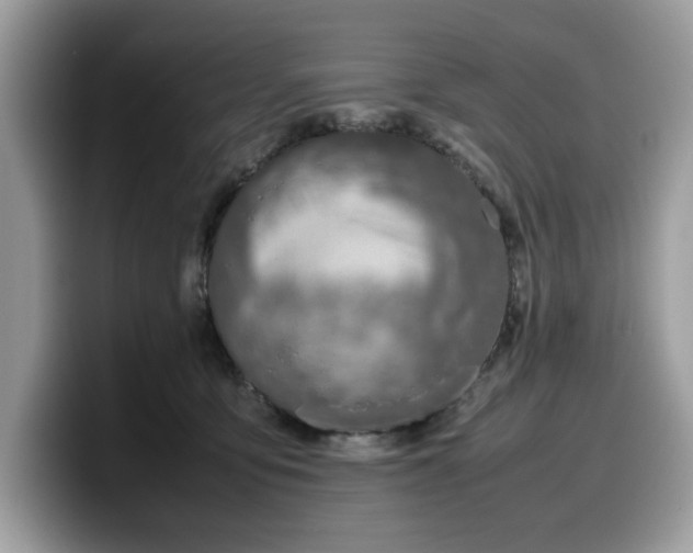 X0000099570419200805301544