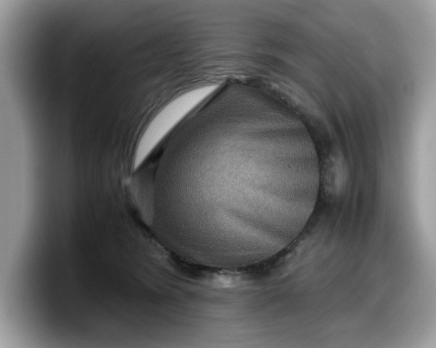 X0000099570420200805301544