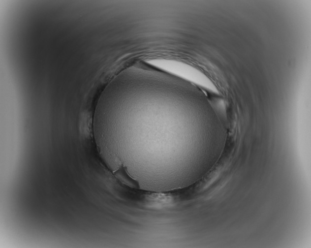 X0000099570421200805301544