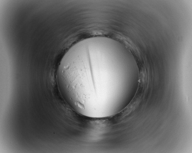 X0000099570422200805301544
