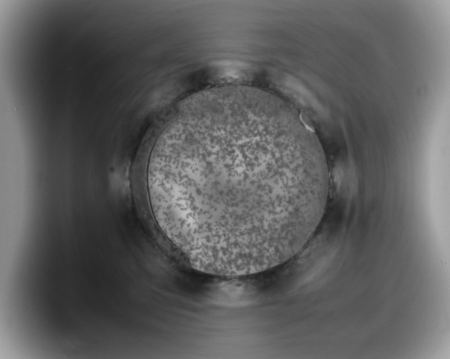 X0000099570423200805301544