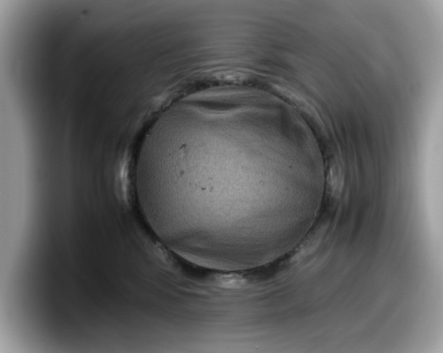 X0000099570424200805301544