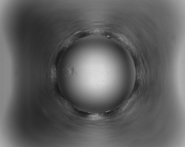X0000099570425200805301544